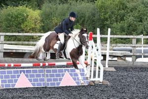 Class 6 - Fences not above 2'9